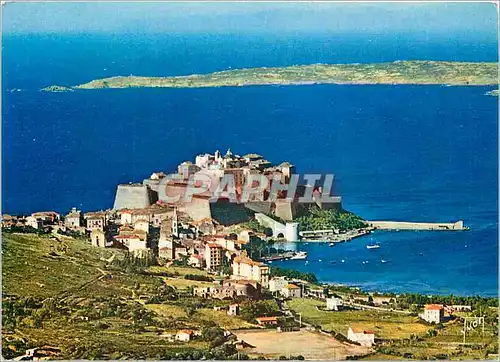 Cartes postales moderne Couleurs et Lumiere de France La Corse Oasis de Beaute Calvi Vue generale