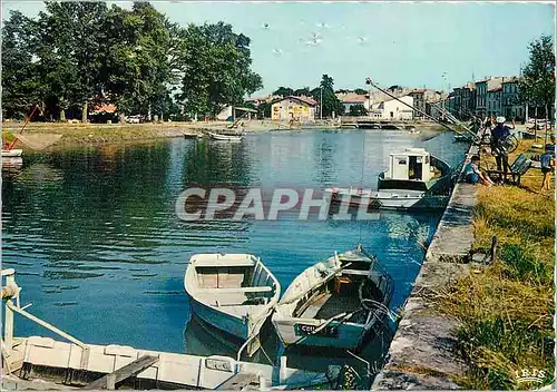 Moderne Karte Environs de Royan Saujon (Chte Mme) Sur la Seudre le port de Riberou