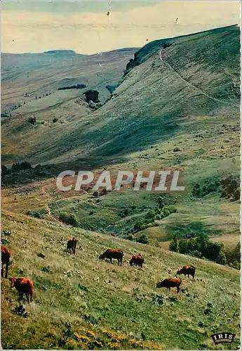 Cartes postales moderne Le Cantal Pittoresque Le Puy Mary Vallee de l'Impradine Vue sur Bade Bec