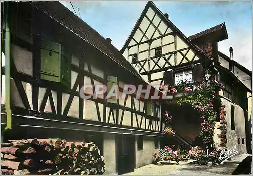 Moderne Karte Au Pays des Cigognes Kayserberg (Haut Rhin) Dans la cour d'une vieille demeure