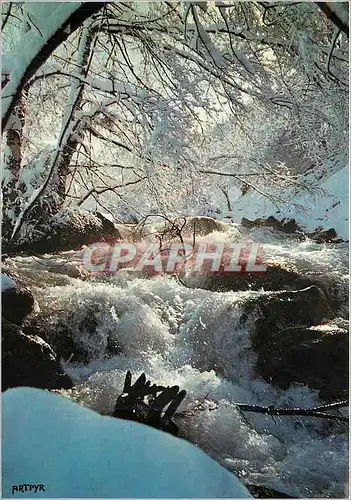 Cartes postales moderne Les Pyrenees sous la Neige Aurore sur le Torrent