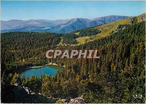 Cartes postales moderne Les Vosges Pittoresque le Lac Vert