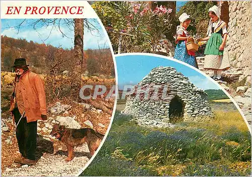 Cartes postales moderne Les Belles Images de Provence