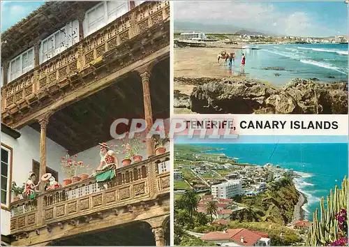 Cartes postales moderne Tenerife Canary Islands