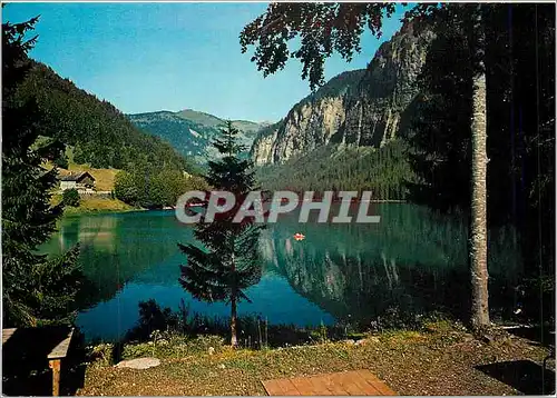 Moderne Karte Aux environs de Morzine Le Lac de Montriond