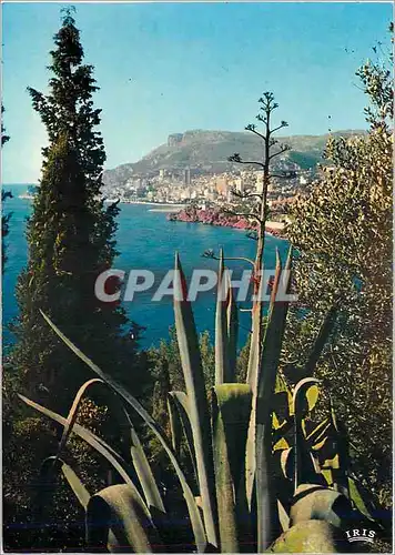 Moderne Karte Reflets de la Cote d'Azur La Principaute de Monaco Vue de Roquebrune Cap Martin (A Mmes)