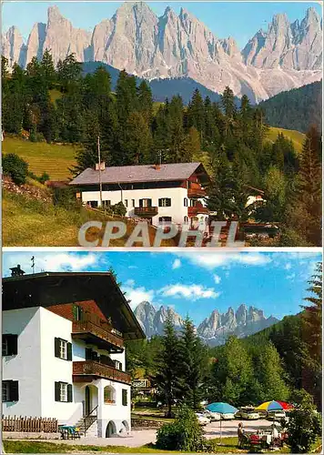 Cartes postales moderne Edelweiss Albergo Stella Alpina St Magoalena St Maddalena