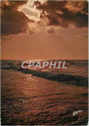 Cartes postales moderne Sur la Cote de Lumiere Ile d'Oleron Soleil descendant sur la mer