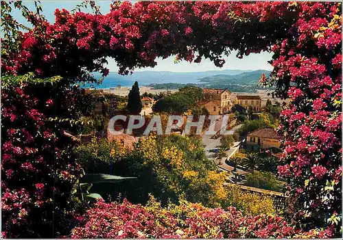 Cartes postales moderne La Cote d'Azur Bormes les Mimosas