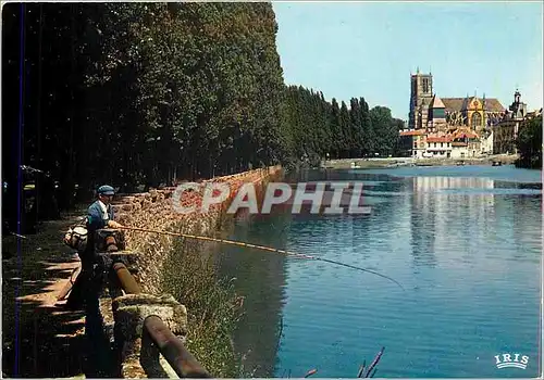 Cartes postales moderne Meaux (Seine et Marne) De la Promenade Trinitaire (Creee en 1860) la cathedrale St Etienne et l'