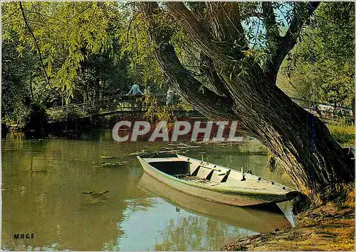 Cartes postales moderne Paysage de France les Bords du Loing