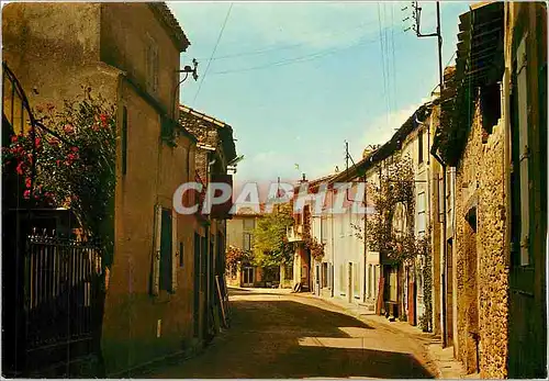 Cartes postales moderne La Redorte Aude une rue pittoresque