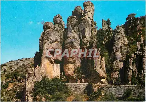 Cartes postales moderne Lozere Gorges de la Jonte