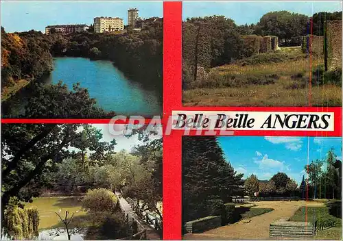 Cartes postales moderne Belle Beille Angers