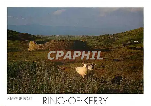 Moderne Karte Ring of Kerry