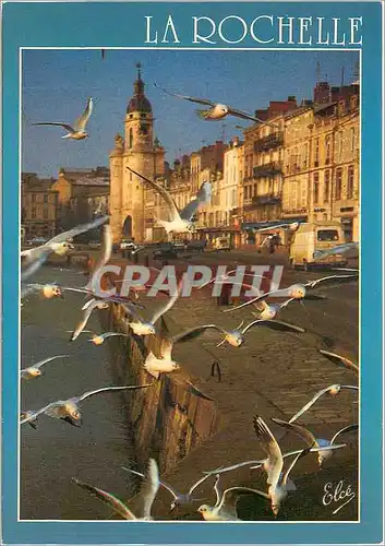 Cartes postales moderne La Rochelle (Charente Mme) Ville historique le port les mouettes au fond la grosse Horloge (XIII