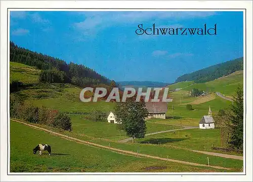 Cartes postales moderne Schwarzwald