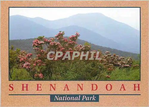 Cartes postales moderne Shenandoah