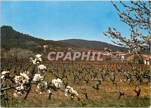 Cartes postales moderne La Provence Pittoresque Nans les Pins alt 440 m vue generale