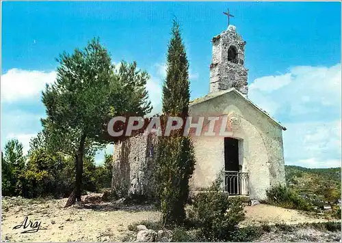 Cartes postales moderne Notre Belle Provence Parmi les Pins une Chapelle