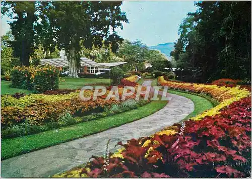 Cartes postales moderne Royal Botanic Gardens Peradeniya