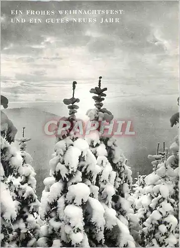Cartes postales moderne Ein Froches Weihnachtsfest