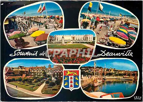 Cartes postales moderne Deauville (Calvados) Plage fleurie La PLage la promenade et le Ciros