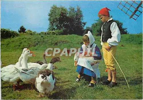Cartes postales moderne Skane Enfants Oies Moulin Suede