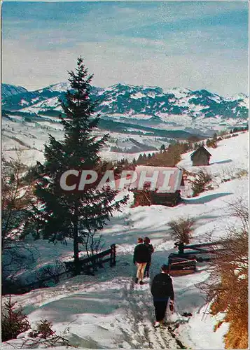 Cartes postales moderne Ski