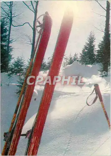 Cartes postales moderne Ski