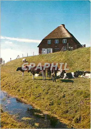 Cartes postales moderne Chalet