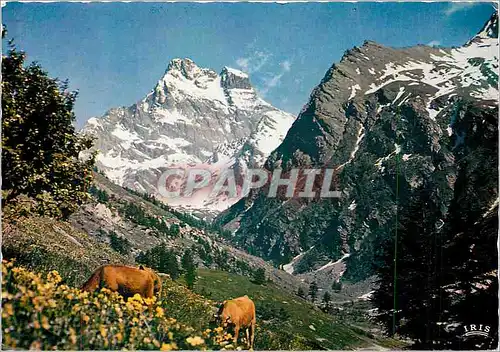 Cartes postales moderne Les Belles Alpes Francaise Symphonie Pastorale