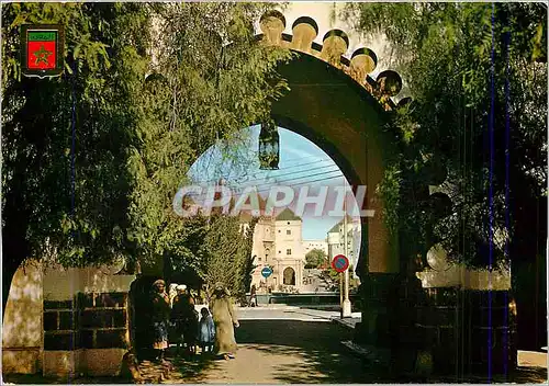 Cartes postales moderne Casablanca Place de la Mosquee