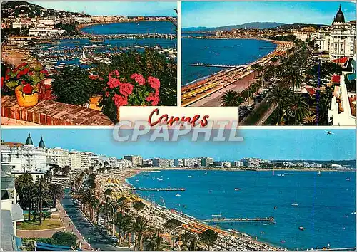 Cartes postales moderne La Cote d'Azur Cannes Le Port et la Croisette