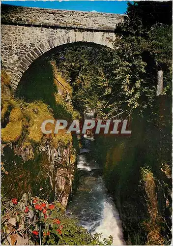 Cartes postales moderne Cauterets (H P) Le Pont d'Espagne alt 1500 m
