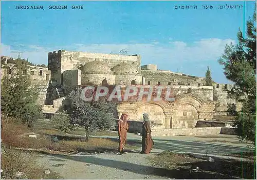 Cartes postales moderne Jerusalem La Porte doree