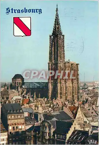 Moderne Karte Strasbourg (Bs Rhin) La Cathedrale emergeant des veiux toils