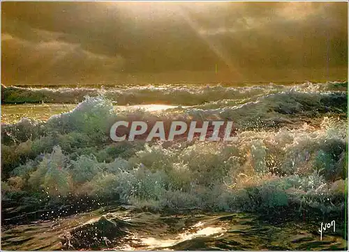 Cartes postales moderne Couleurs et Lumiere de France Coucher de Soleil sur l'Ocean