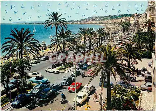 Cartes postales moderne La Cote d'Azur French Riviera Nice La Promenade des Angalais