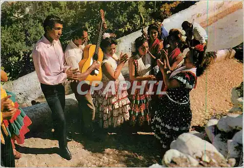 Cartes postales moderne Danzas y Bailes Regionales de Espana Danseurs du Sacromonte