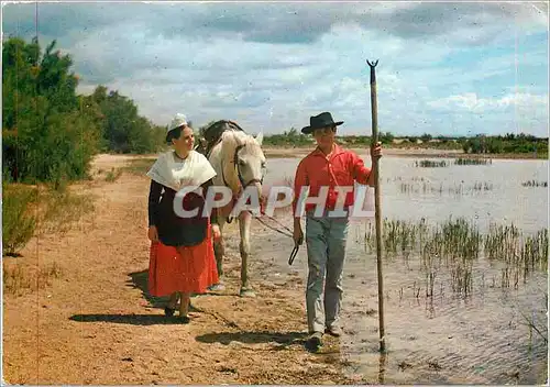 Moderne Karte Les Belles images de Camargue Mireille aet gardian au retour de la Promenade