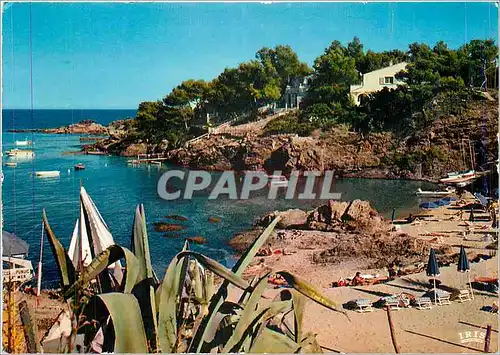 Cartes postales moderne Cote d'Azur Les Issambres (Var) Une Clanque
