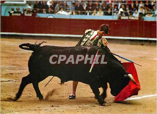 Cartes postales moderne El Cordobes Clasico natural del Cordobes Corrida