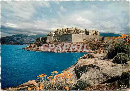 Cartes postales moderne Calvi (Corse) La Citadelle