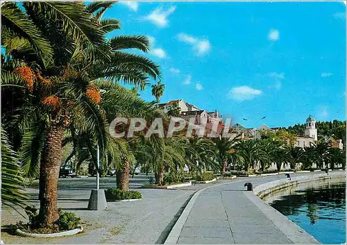 Cartes postales moderne Cavtat Rive