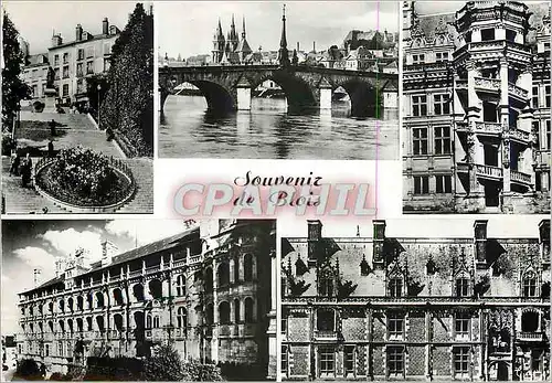 Cartes postales moderne Blois Escalier Denis Papin le grand POnt Escalier d'Honneur