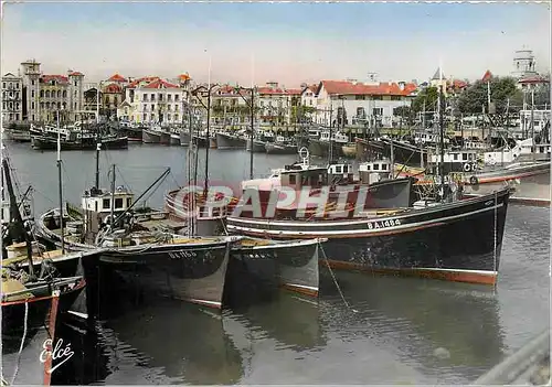 Moderne Karte Saint Jean de Luz (Basses Pyrenees) Thonieres et Chalutiers dans le Port Bateaux