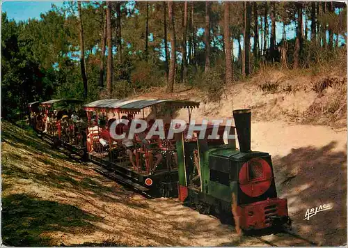 Cartes postales moderne Sur la Cote de Lumiere Ile d'Oleron de P'tit Train de St Trojan a travers la foret