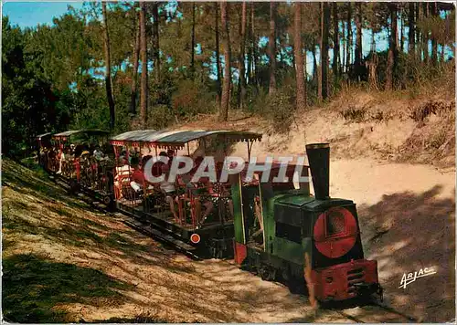 Moderne Karte Sur la Cote de Lumiere Ile d'Oleron de P'tit Train de St Trojan a travers la foret