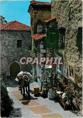 Moderne Karte Cote d'Azur Provence Vieille rue et Scene pittoresque du Folklore mediterraneen Ane Mule